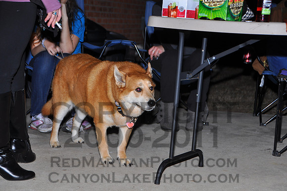2011-01-29 21-34-02 D90_3219