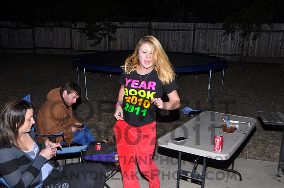 2011-01-29 20-37-03 D90_3189