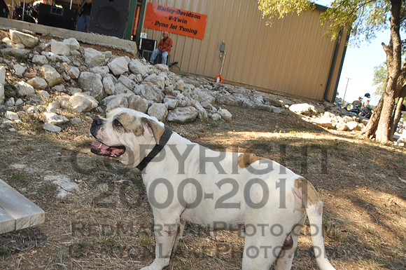 2010-10-16 @ 15-53-41 = DSC_0852