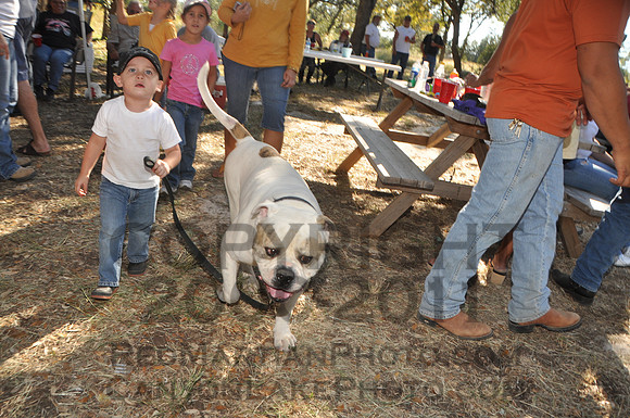 2010-10-16 @ 16-29-02 = DSC_0898