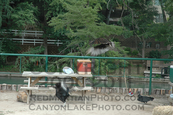 2005-06-19@10-43-16 = DSC_4236