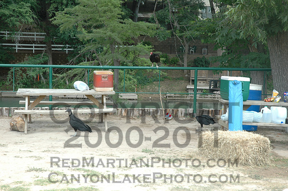 2005-06-19@10-43-13 = DSC_4235
