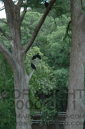 2005-06-19@10-43-46 = DSC_4238