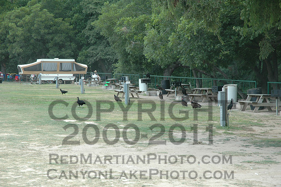 2005-06-19@10-43-34 = DSC_4237