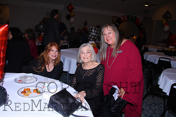 2025-01-17 20-03-16 IMG_2567