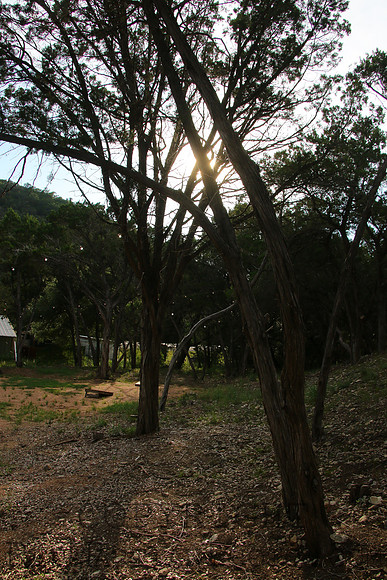 2025-06-26 17-54-32 IMG_8732