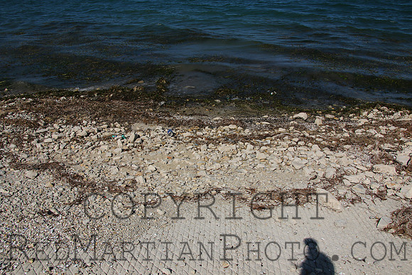 2023-10-14 10-40-56 IMG_6258