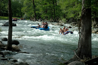 07 Rapids