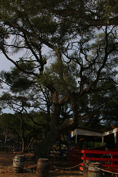 2025-06-26 17-56-54 IMG_8741