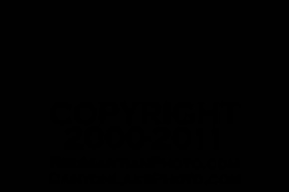 2011-01-29 20-39-36 D90_3196