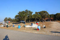 2024-10-12 07-42-22 IMG_7895