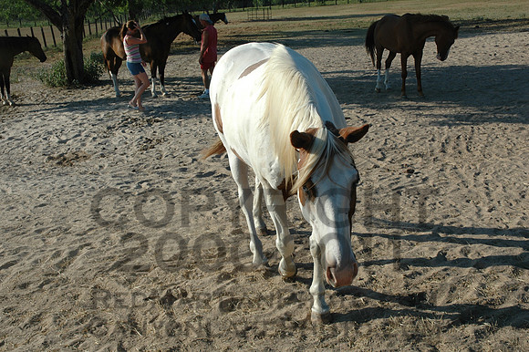 2005-07-04@17-39-15 = DSC_5190